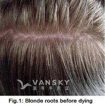 241030110826_Hair-Before Dying-s.jpg